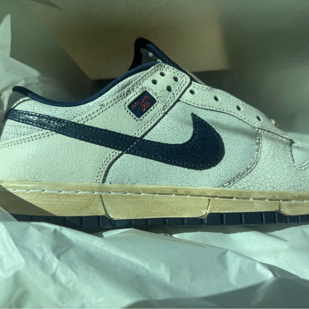 Nike Dunk Low Stranger Things Phantom and stance stranger thing sock